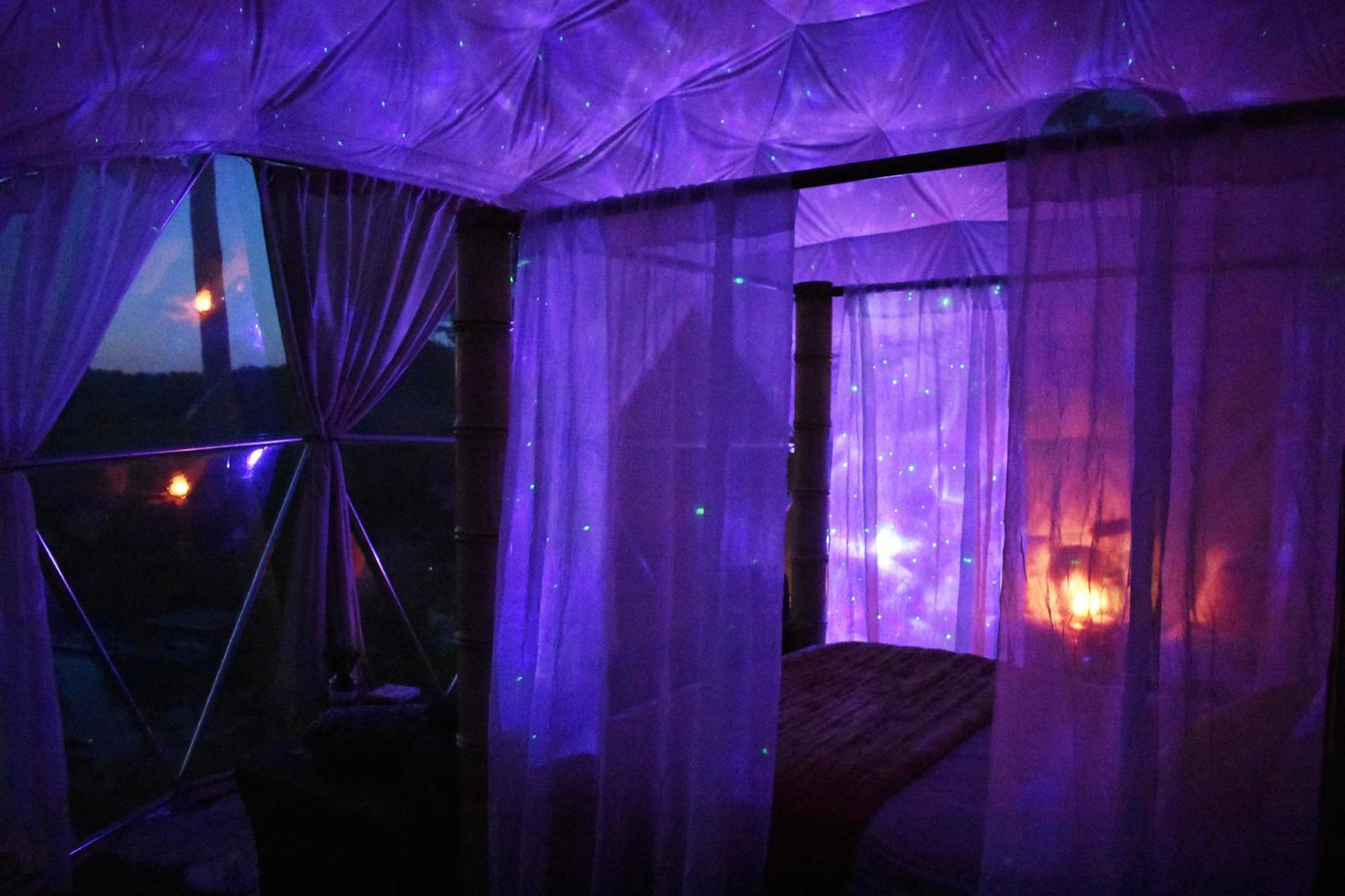 Готель Waterfront Luxury Glamping Dome Rogersville Екстер'єр фото